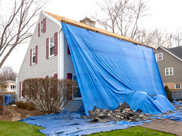 Best Storm Damage Siding Repair  in Andover, MN